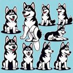 growth and weight chart for huskies